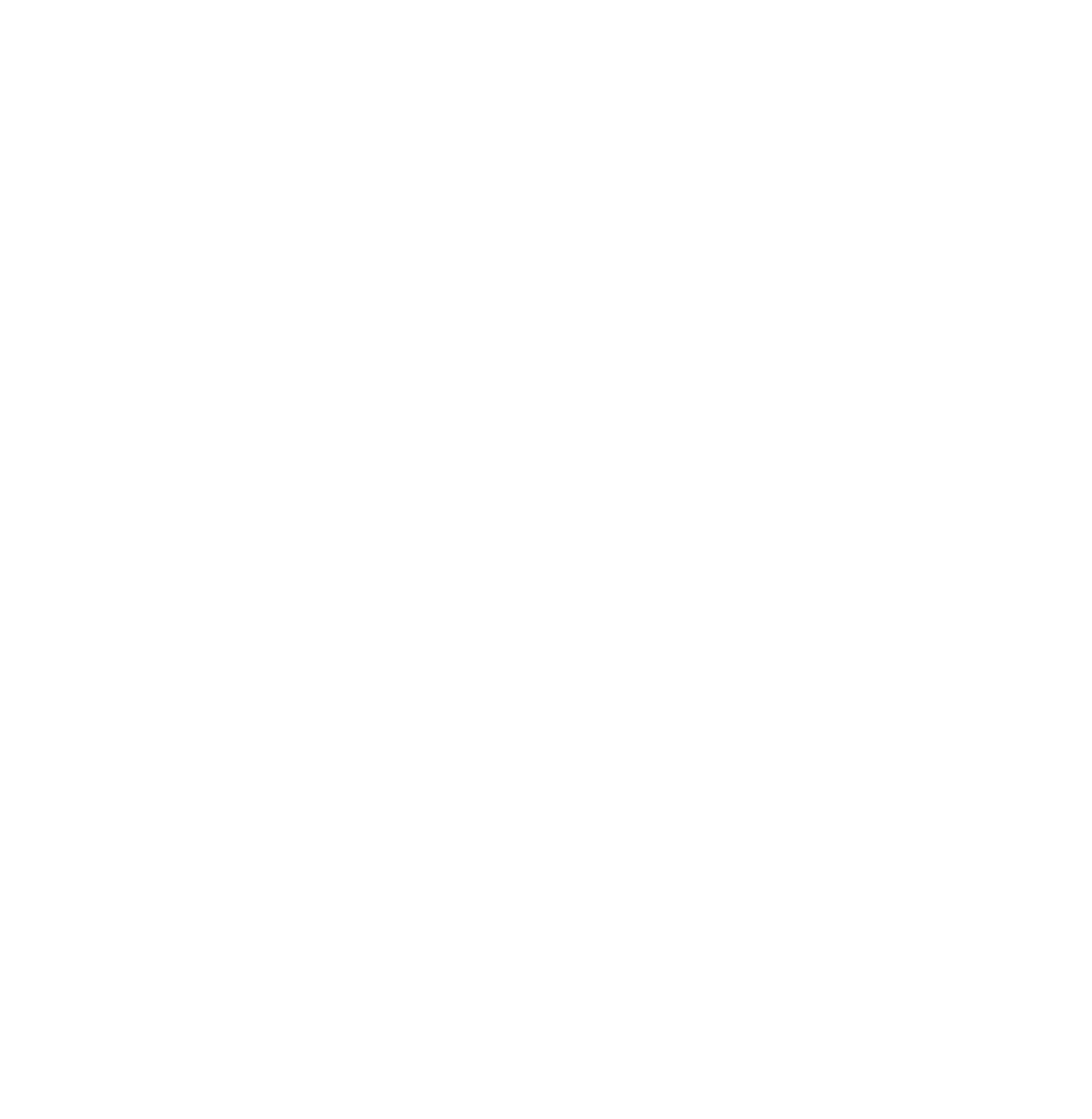 Nova Piel